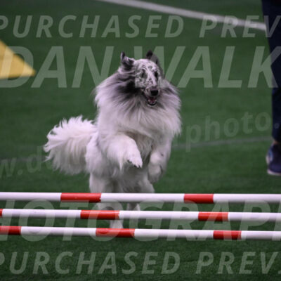 Sheldon-Cheryl-Lee-00456