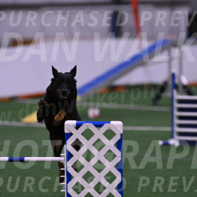 Sirsee-Janice-Bourell-Casey-04500