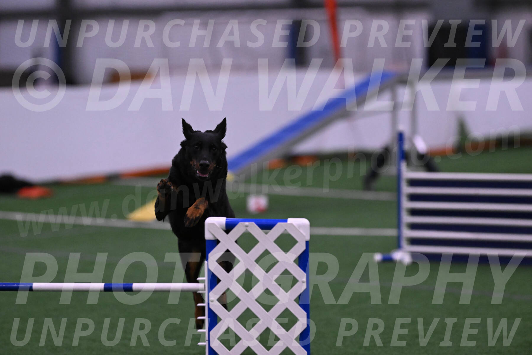 Sirsee-Janice-Bourell-Casey-04500