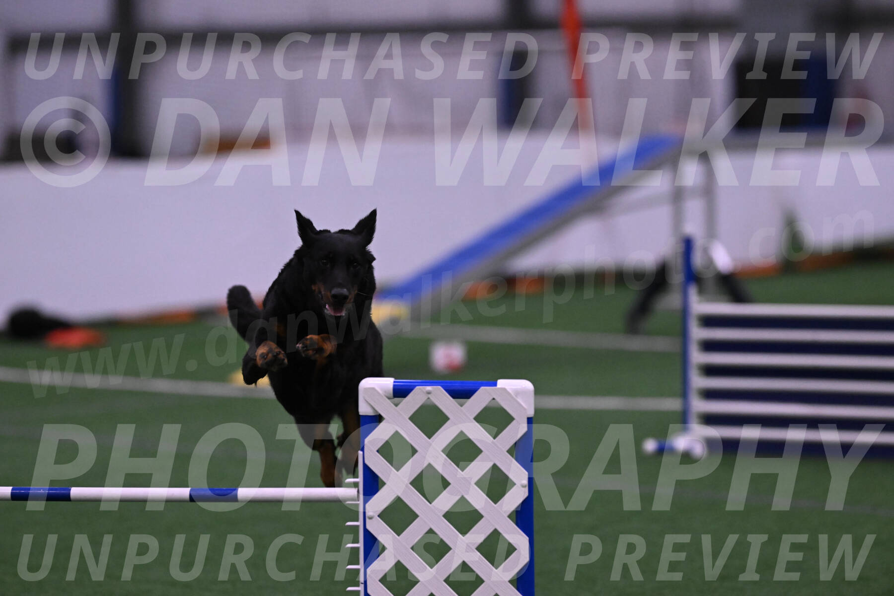 Sirsee-Janice-Bourell-Casey-04501