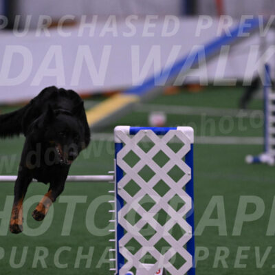 Sirsee-Janice-Bourell-Casey-04504