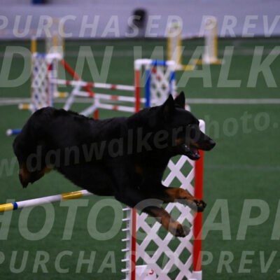 Sirsee-Janice-Bourell-Casey-04534