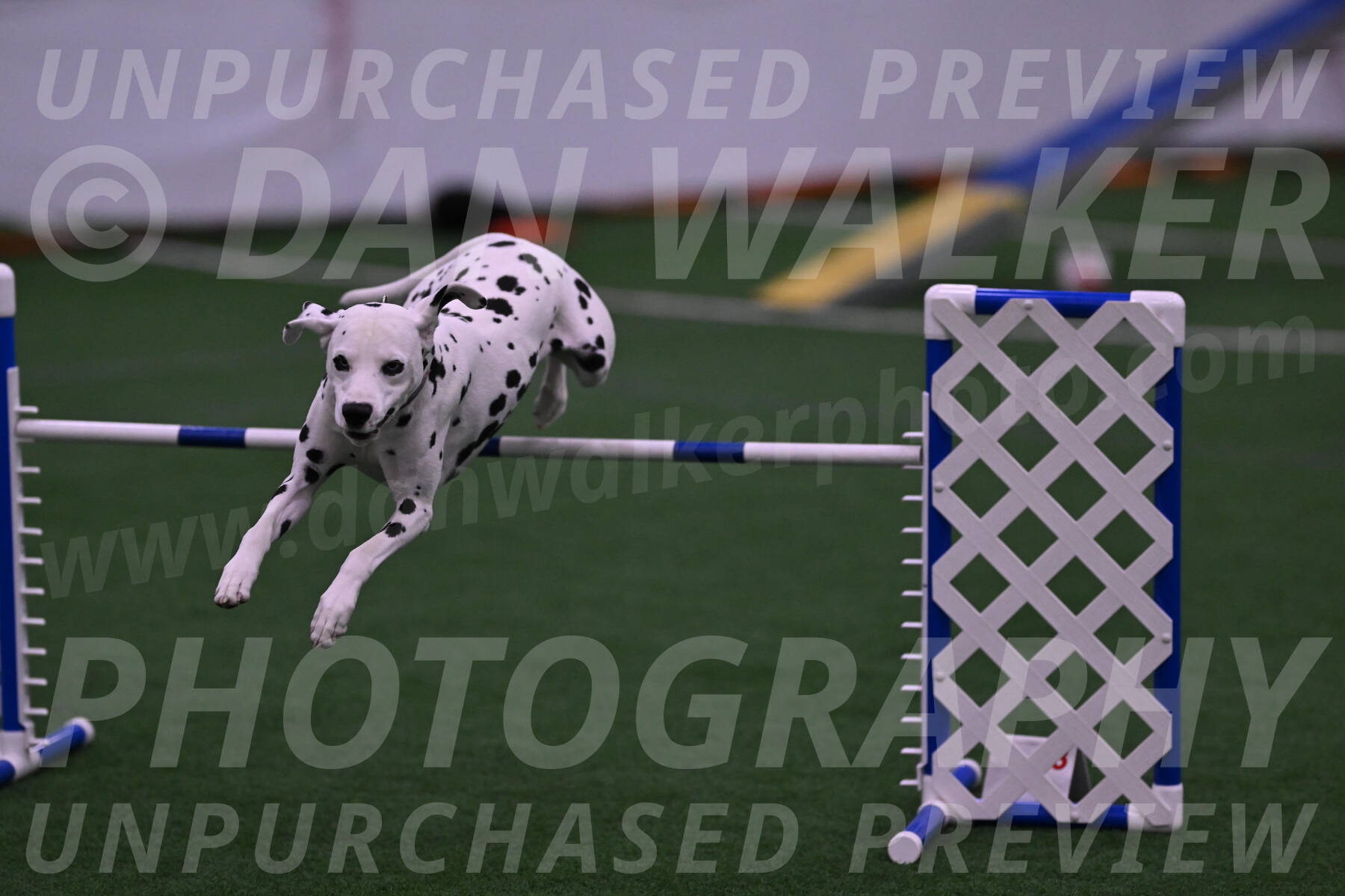 Sky-Cynthia-L-Chaytor-05228