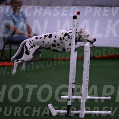 Sky-Cynthia-L-Chaytor-05250