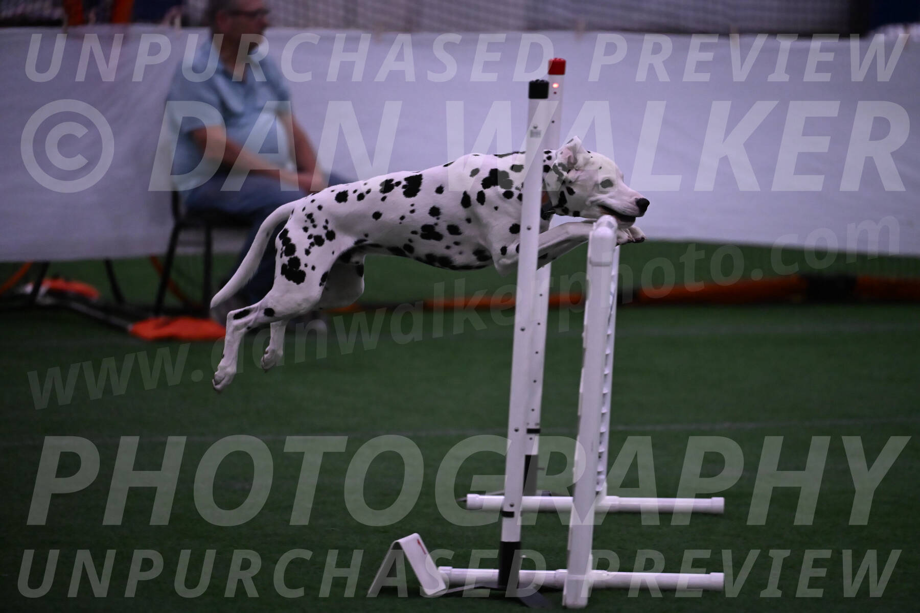 Sky-Cynthia-L-Chaytor-05250