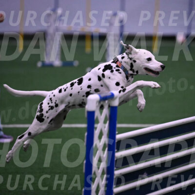 Sky-Cynthia-L-Chaytor-05268