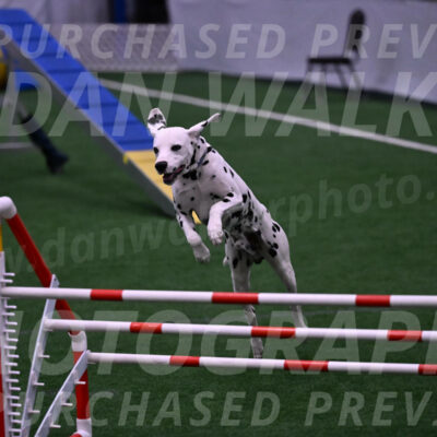 Sky-Cynthia-L-Chaytor-05290