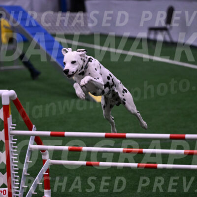 Sky-Cynthia-L-Chaytor-05291