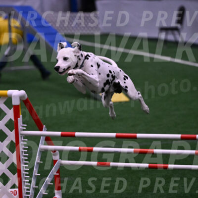 Sky-Cynthia-L-Chaytor-05292