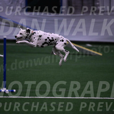 Sky-Cynthia-L-Chaytor-05303