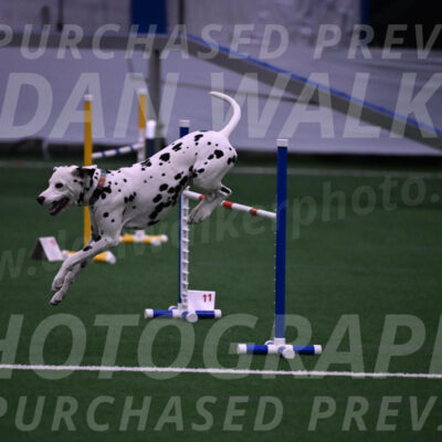 Sky-Cynthia-L-Chaytor-05307