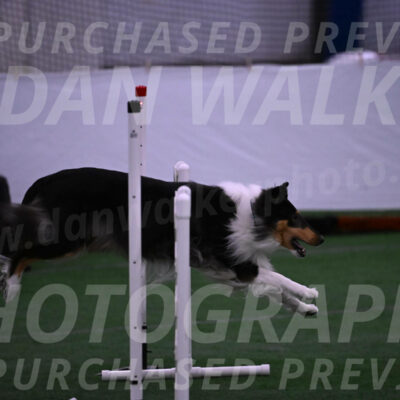Skye-Vicki-Searles-06080