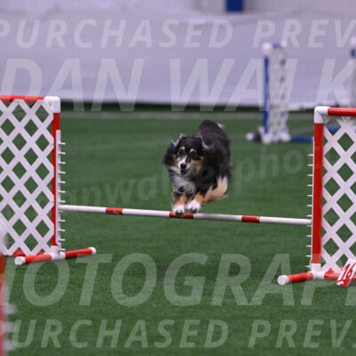 Slider-Cheryl-A-Minichiello-08900