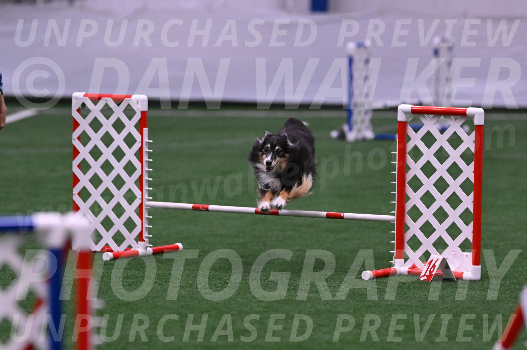 Slider-Cheryl-A-Minichiello-08900