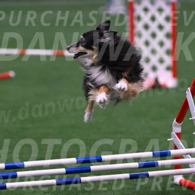 Slider-Cheryl-A-Minichiello-08902