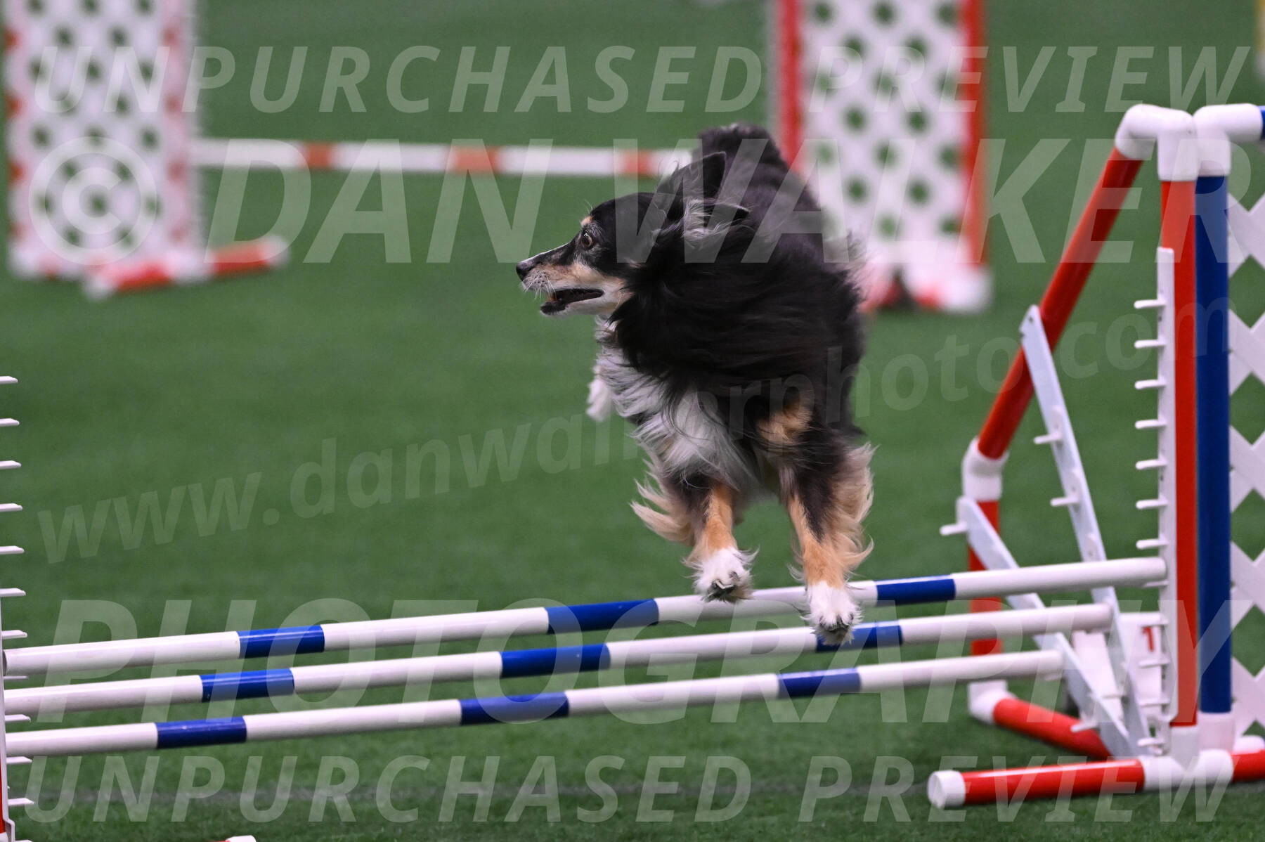 Slider-Cheryl-A-Minichiello-08904