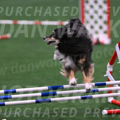 Slider-Cheryl-A-Minichiello-08904