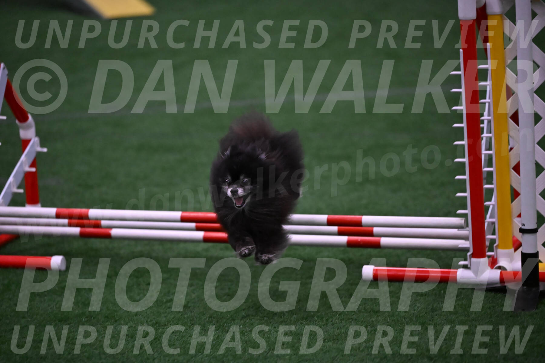 Snooker-Lisa-Ann-Koenigs-10194