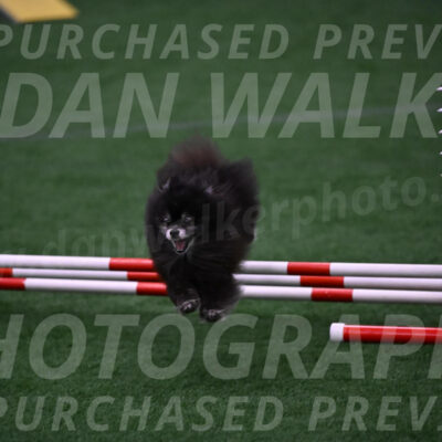 Snooker-Lisa-Ann-Koenigs-10194