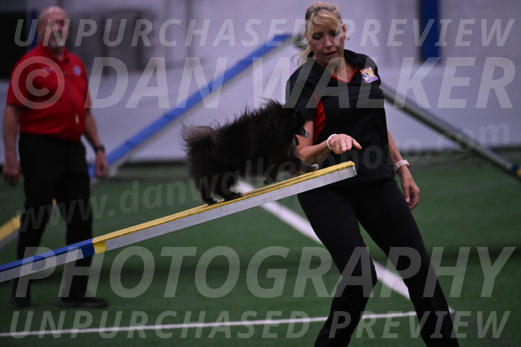 Snooker-Lisa-Ann-Koenigs-10352