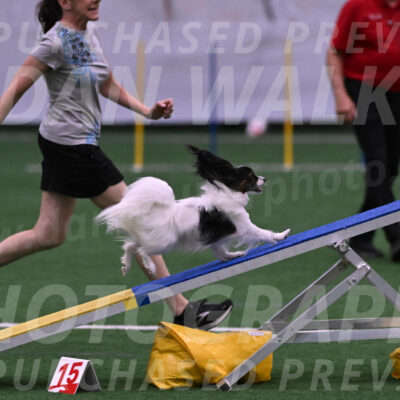 Sparky-Denise-Schneider-09729