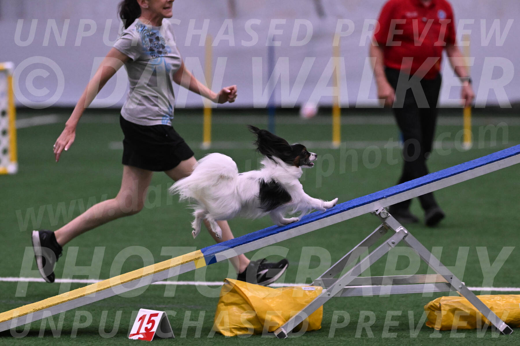 Sparky-Denise-Schneider-09729