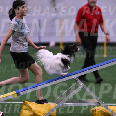 Sparky-Denise-Schneider-09730