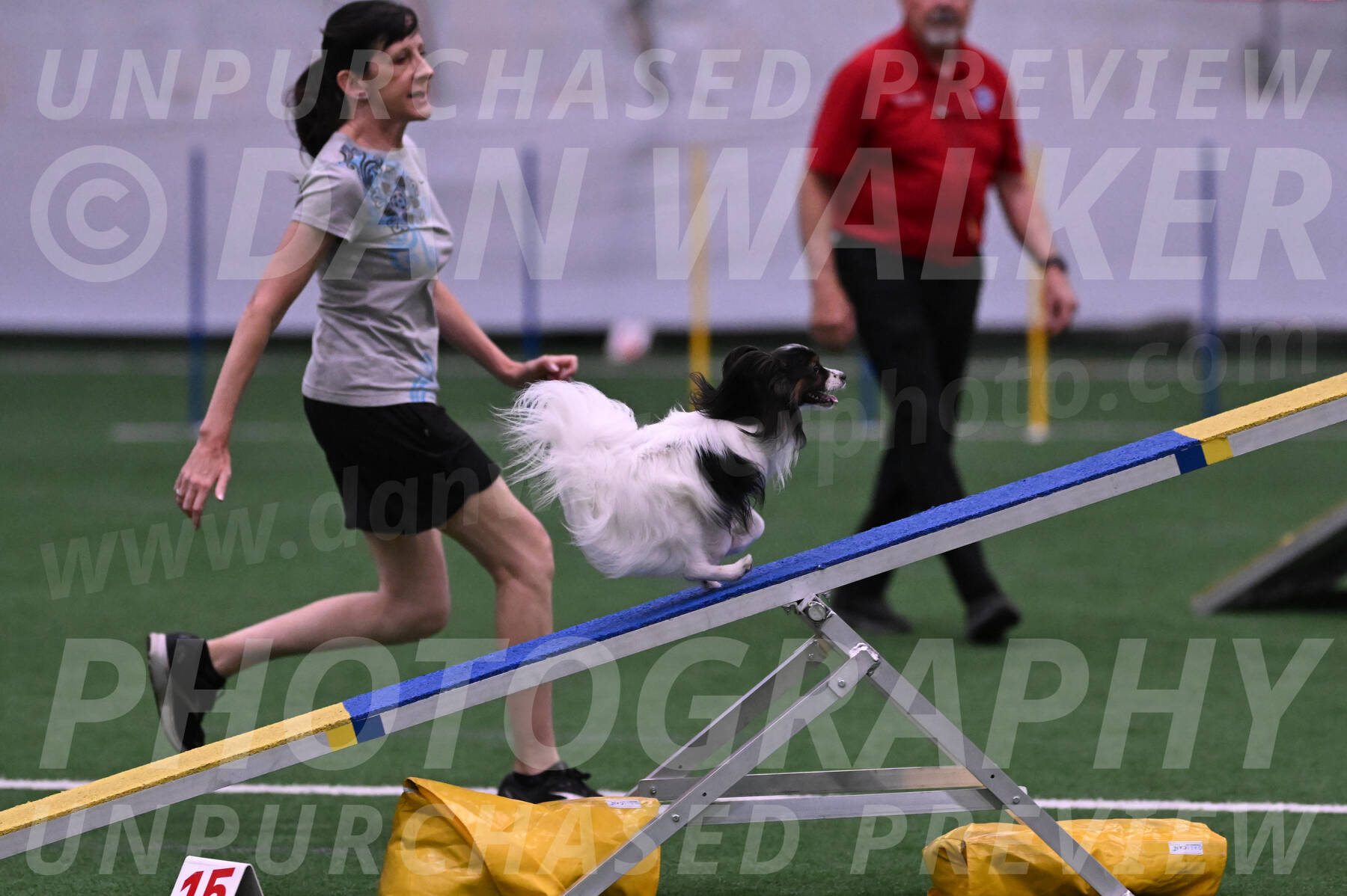 Sparky-Denise-Schneider-09730