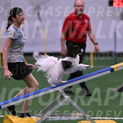 Sparky-Denise-Schneider-09731