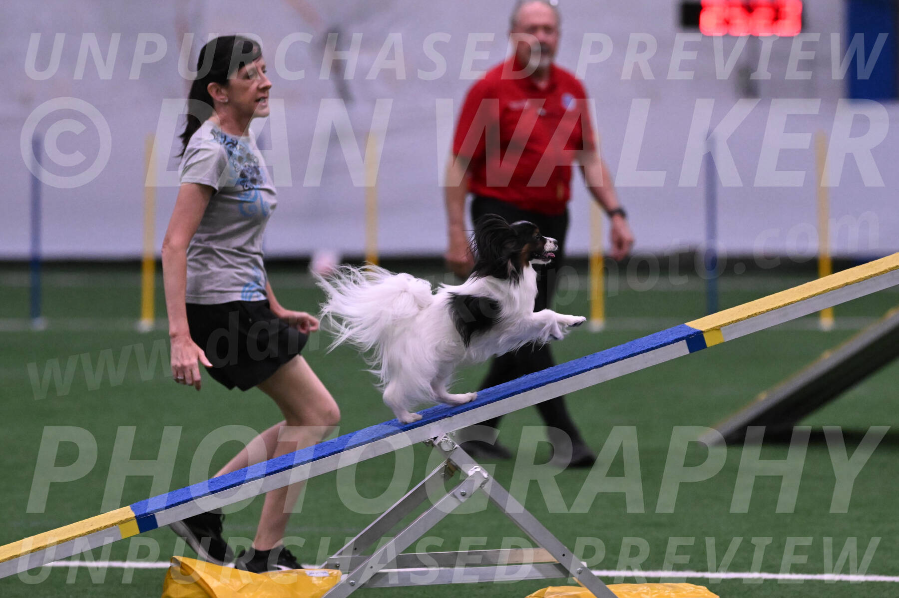 Sparky-Denise-Schneider-09731