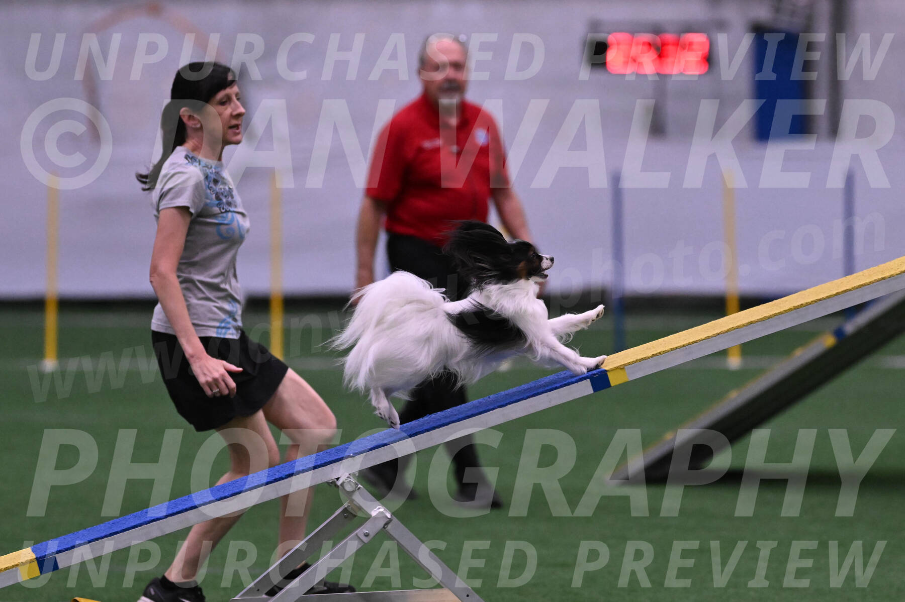 Sparky-Denise-Schneider-09732
