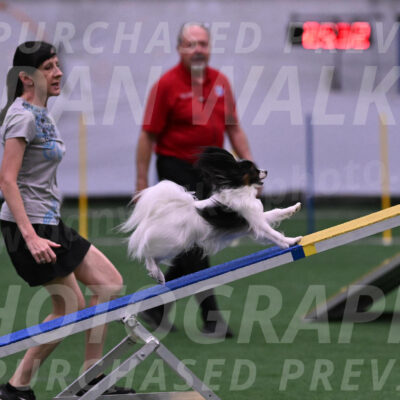 Sparky-Denise-Schneider-09732
