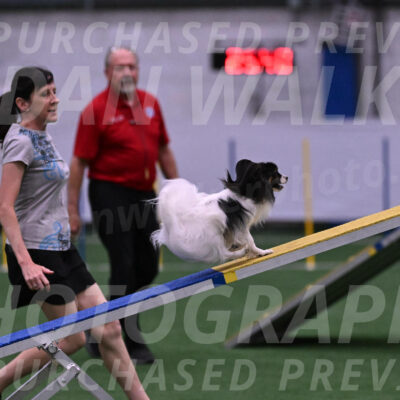 Sparky-Denise-Schneider-09734