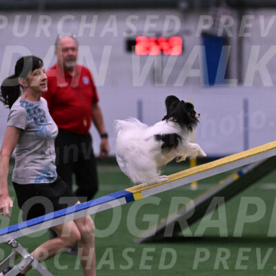 Sparky-Denise-Schneider-09735