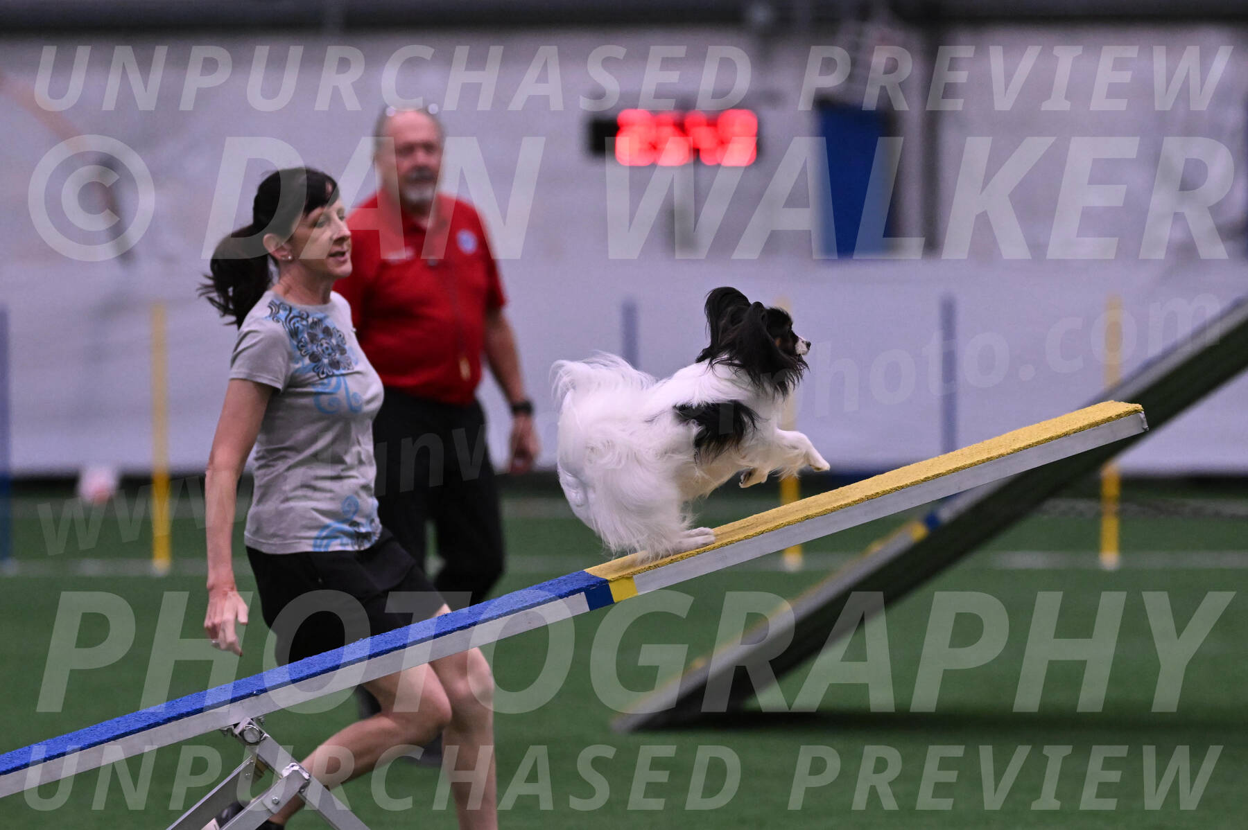 Sparky-Denise-Schneider-09735
