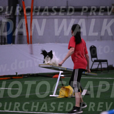 Sparky-Denise-Schneider-09764
