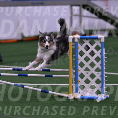 Spirit-Cheryl-A-Minichiello-05896