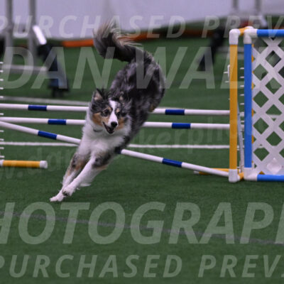 Spirit-Cheryl-A-Minichiello-05898