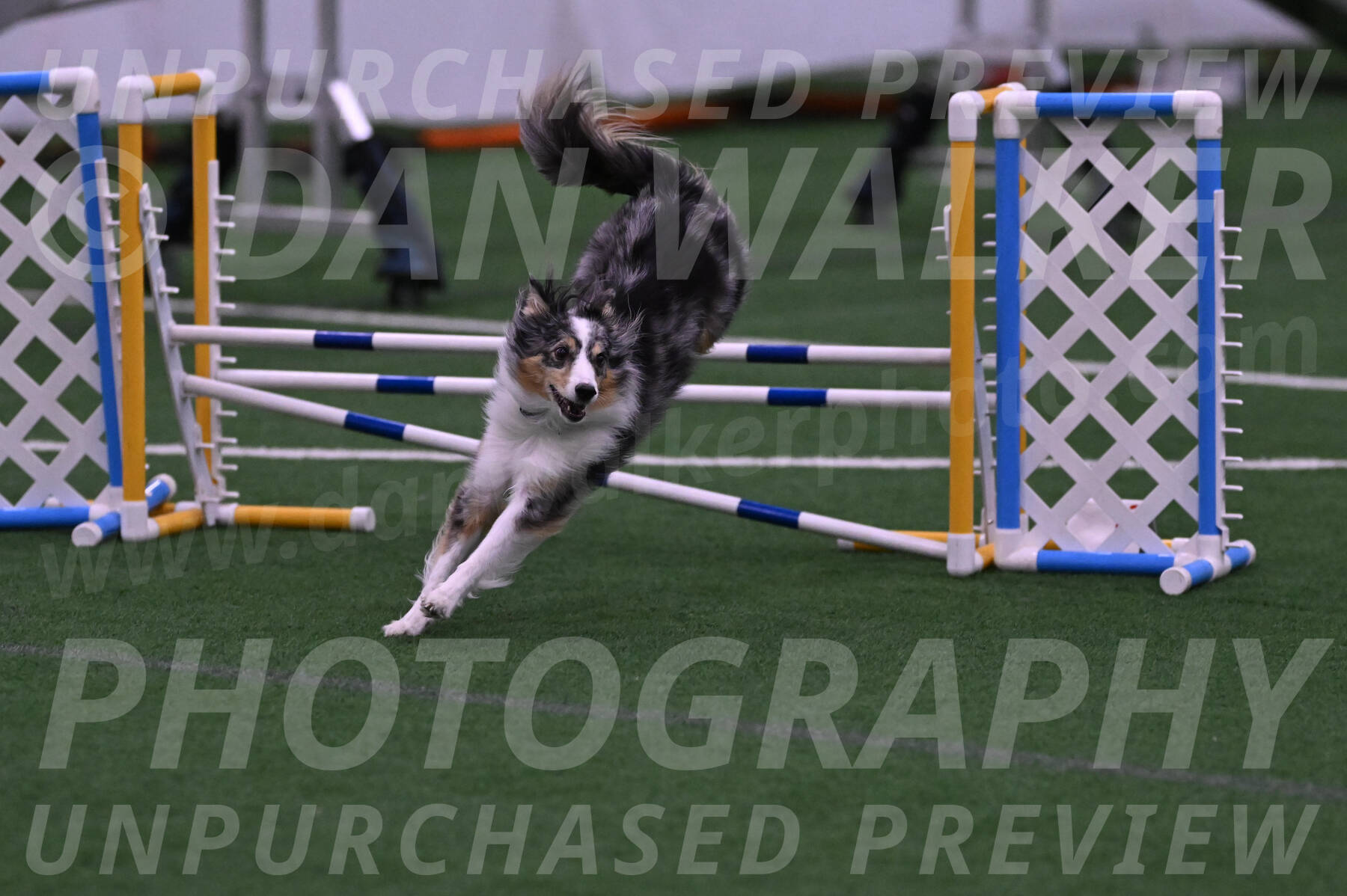Spirit-Cheryl-A-Minichiello-05898