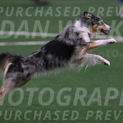 Spirit-Cheryl-A-Minichiello-05899