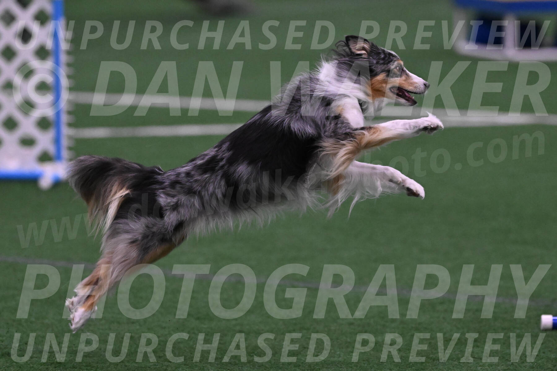 Spirit-Cheryl-A-Minichiello-05899