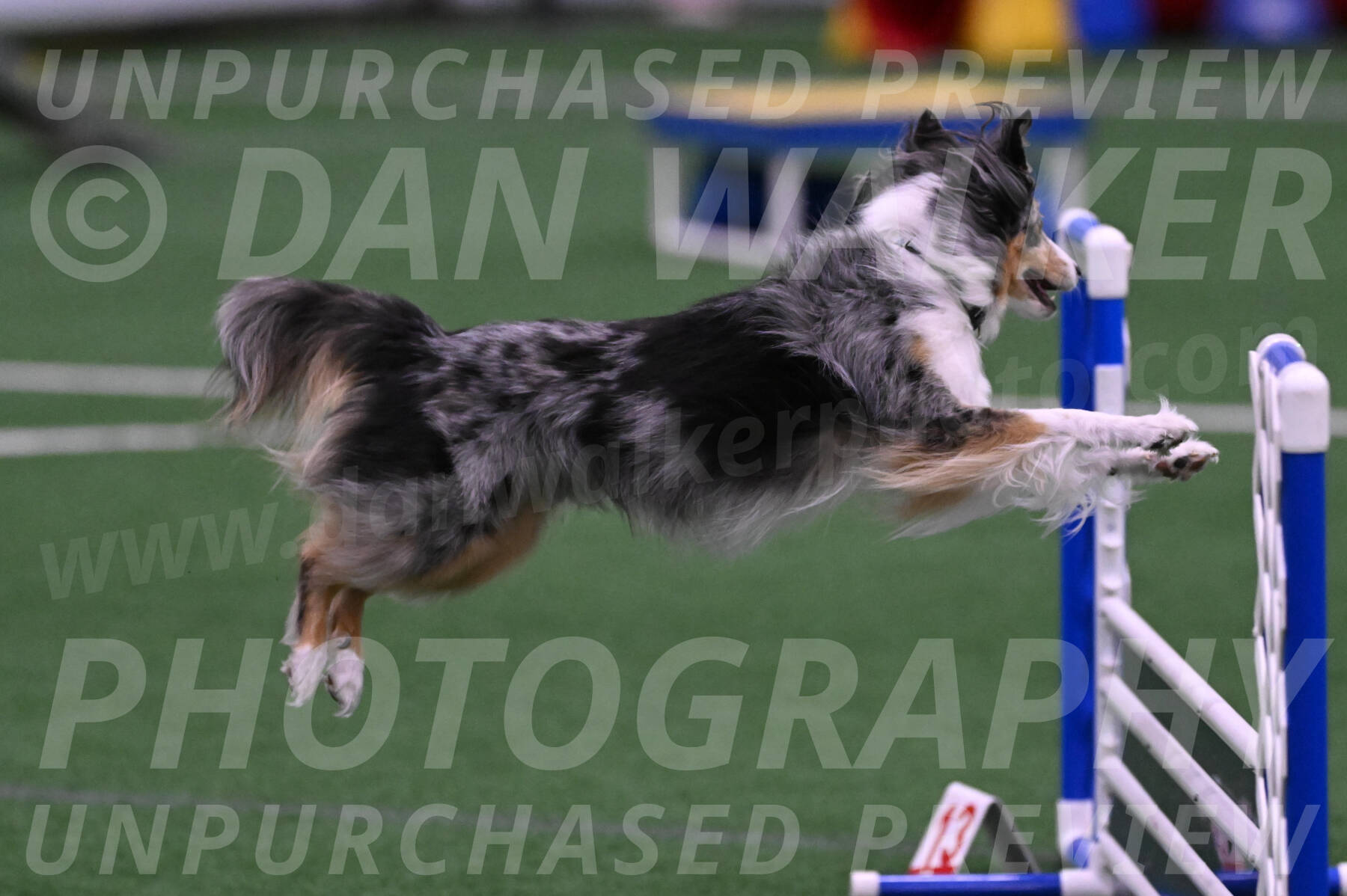Spirit-Cheryl-A-Minichiello-05901
