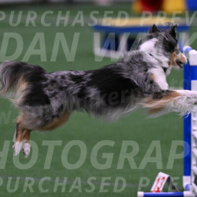 Spirit-Cheryl-A-Minichiello-05901