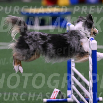 Spirit-Cheryl-A-Minichiello-05902