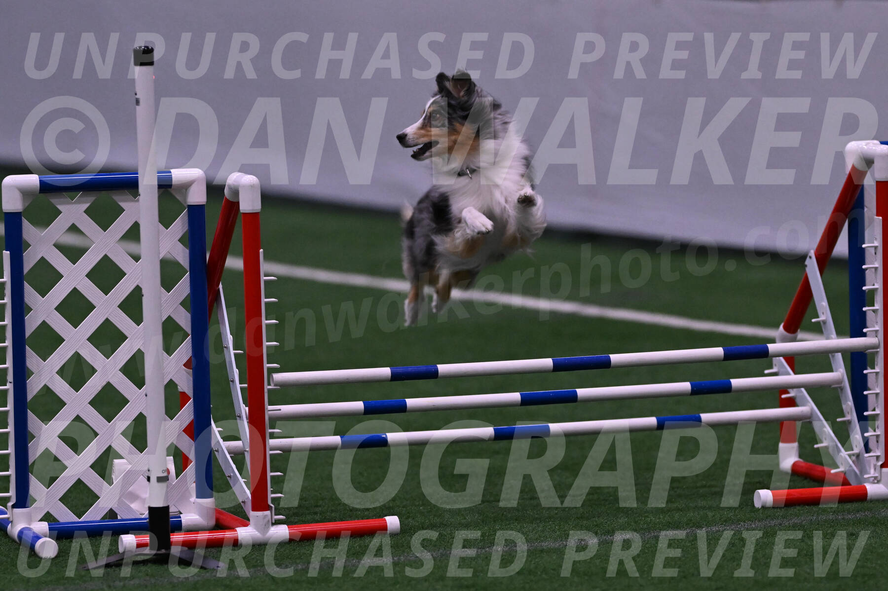 Spirit-Cheryl-A-Minichiello-05908