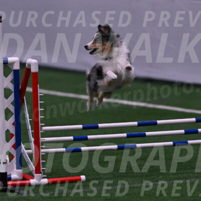 Spirit-Cheryl-A-Minichiello-05908