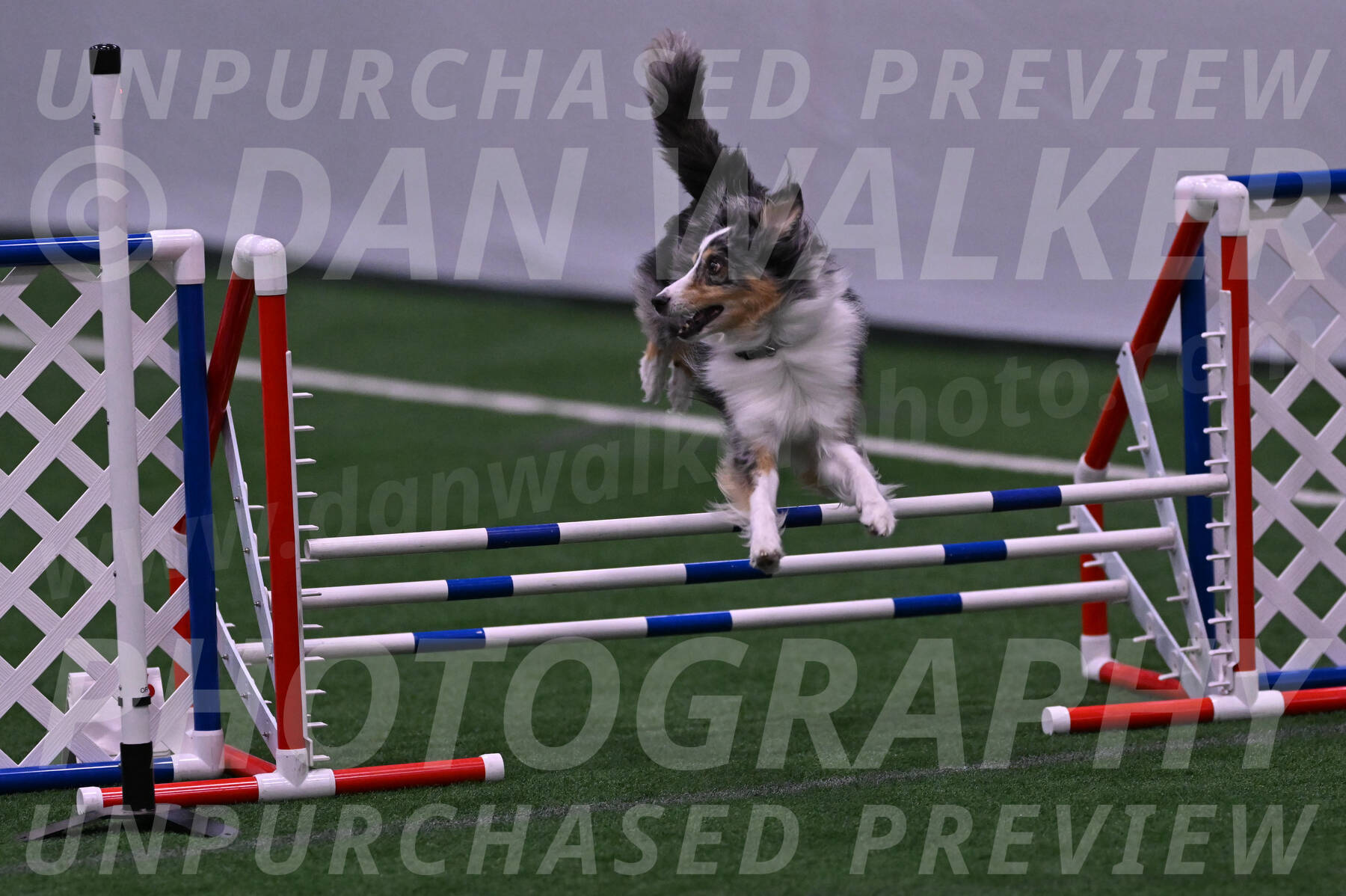 Spirit-Cheryl-A-Minichiello-05911