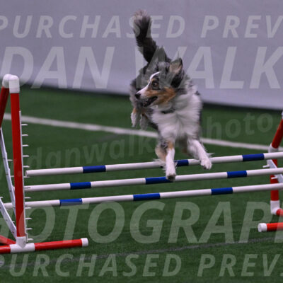 Spirit-Cheryl-A-Minichiello-05911