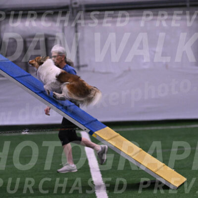 Storm-Carol-Currier-11299