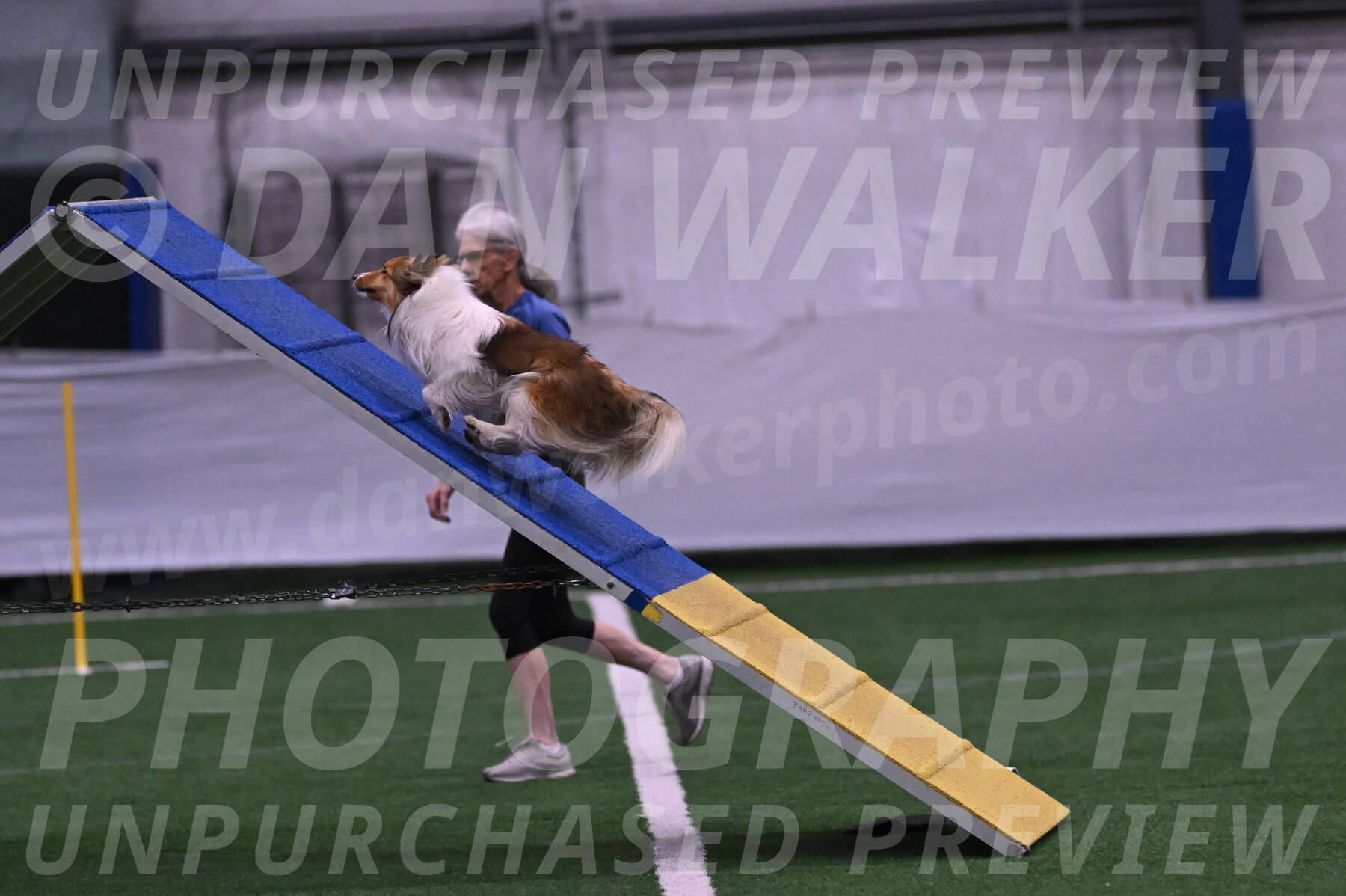 Storm-Carol-Currier-11299